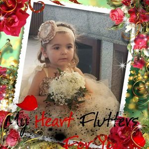 Meet your Posher, Donald